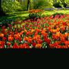 Marina Ely - @deea.deea072 - TikTok