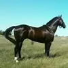Marina Hamm - @choco.h20 - TikTok