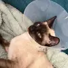 Marina Klein - @marinaklein877 - TikTok