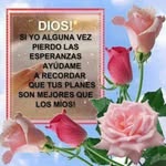 Marina Lobos - @marinals371 - Instagram