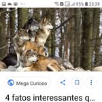 marina.lobos - @marina.loboss - Instagram