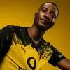 Marina_Löwe🖤💛🖤💛🖤🦁🦁🦁🦁 - @marina_bvb09 - TikTok