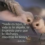 Marina Marron Ruelas - @marronruelas - Instagram
