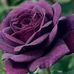 Marina Mcclain - Facebook