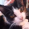 Marina Miles - @marina.miles4 - TikTok