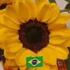 Marina Moretti - @marina.moretti5 - TikTok