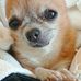 Marina Moretti - Facebook