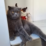 Marina Munteanu - @marina.munteanu - Instagram