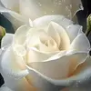 Marina Munteanu - @marina.munteanu87 - TikTok