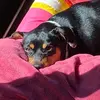 ma - @marinanovaesduarte - TikTok