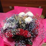 Marina Oehler - Facebook