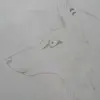 Marina Ott - @marinaott1 - TikTok