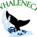 Whaleneck Marina Power Sports - Facebook