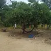 marinaquevedo68 - @marinaquevedo68 - TikTok