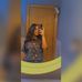 Marina Raymond - Facebook