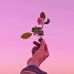 Marina Roche - Facebook