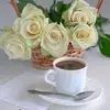 Марина Исаева852 - @marinasapp1 - TikTok