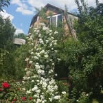 Marina Timoshenko - @marinatimoshenko8447 - Instagram