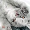 Marina Tkach - @marina_tkach123 - TikTok