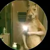 Marina Torrez - @capira701 - TikTok