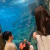 Marina Wilson - @marina.wilson53 - TikTok