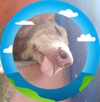 Mario Abarca - Facebook