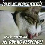 mario acuna - @acunamseg - Instagram