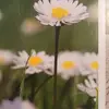 Mario Afonso - @mario.afonso30 - TikTok