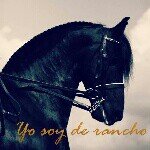MARIO ALAMILLO - @mayito_04 - Instagram
