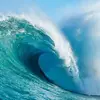marioalmedah - @marioalmedah - TikTok
