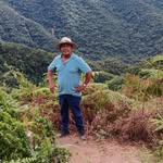Mario Amaral - @mario.amaral.58323 - Instagram