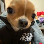 Mario Yahel Ambriz - @_.yxxhl - Instagram