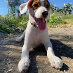 Mario Amedeo - @toni_cannino02 - Instagram