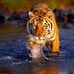 Mario Andreozzi - Facebook