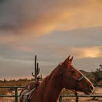 Mario Armas - Facebook