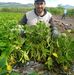 Mario Torres Arreguin - Facebook