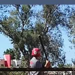 Mario ayon - @el_magochi - Instagram