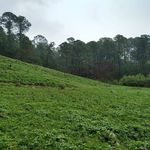 Mario Ayon - @mario.ayon.927 - Instagram