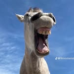 Mario Azarya - @mario.azarya.12 - Instagram