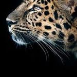 Mario Bahena - @mario.bahena.568 - Instagram