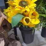 Mario Barata - @barata5648 - Instagram