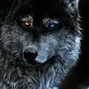 Mario Barba - @mario.barba7 - TikTok