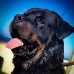 Mario Barbara - @mariobarbara2 - Instagram