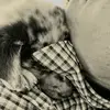 Marion C Barlow - @marion.c.barlow - TikTok