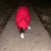 Mario Barnes - Facebook