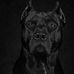 Mario Barry - Facebook