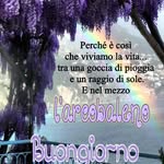 Mario Basile - @petshopanimals_ - Instagram