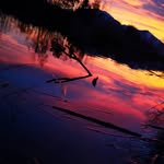 Mario. Baumer - @mario.baumer - Instagram