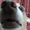 mario_baurdz - @mario_baurdz - TikTok