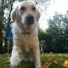 Mario - @mariobaur6 - TikTok